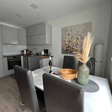 Apartments Sara Novigrad  Room photo