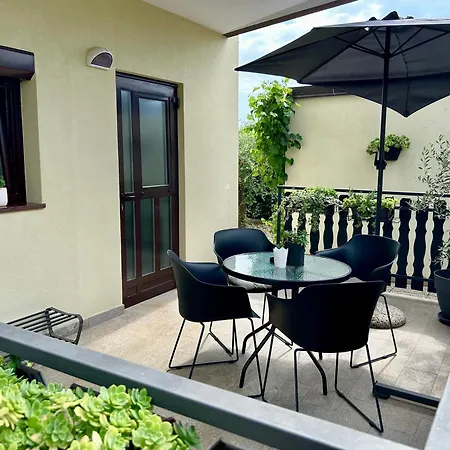 Apartments Sara Novigrad  Exterior photo