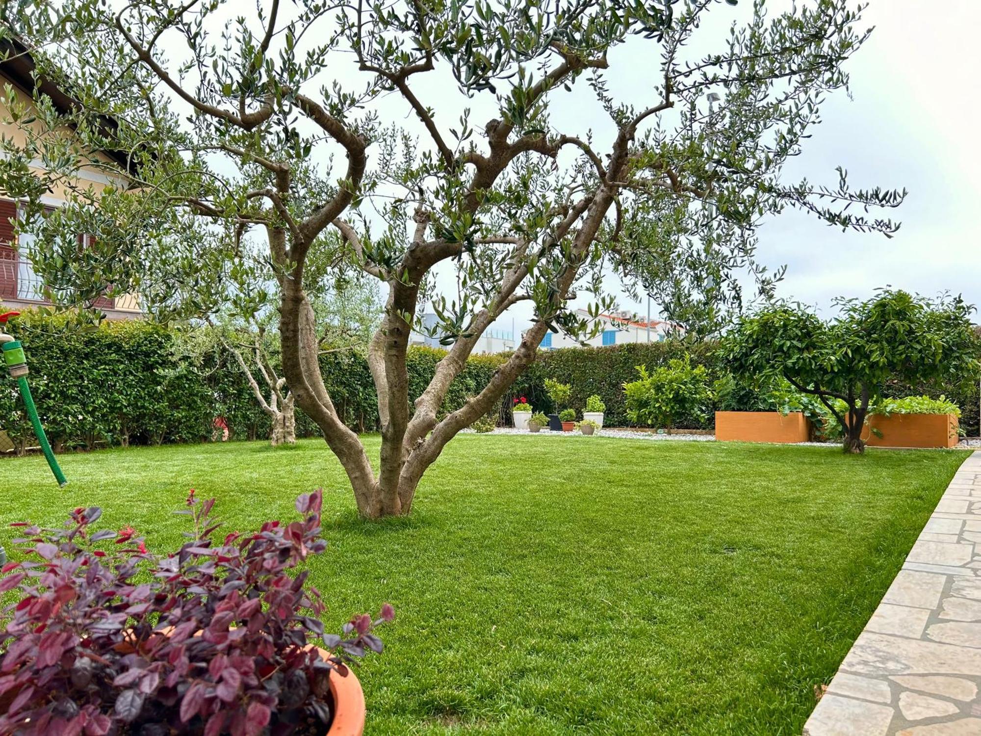Sara Novigrad (Istria)